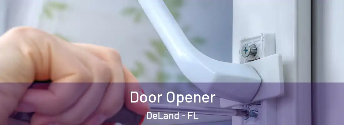  Door Opener DeLand - FL